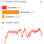 App View Heart Rate Zones