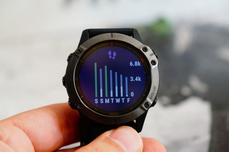 polar fenix 6